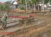 Babinsa Kelurahan Kangenan Dampingi Petani Tingkatkan Produktivitas Lahan Pertanian