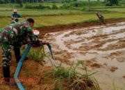 Babinsa Koramil 0826-07 Pegantenan Dukung Petani dengan Pompanisasi untuk Persiapan Lahan