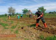 Bantu Petani Siapkan Lahan Pertanian, Koptu Abd Kholik Dukung Program Ketahanan Pangan