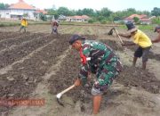 Siapkan Lahan Pertanian, Babinsa Larangan Badung Turun ke Sawah Bantu Warga