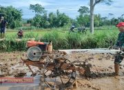 Babinsa Somalang Bantu Warga Bajak Sawah, Ingatkan Pentingnya Semangat dan Keikhlasan
