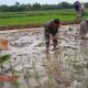 IMG 20250126 131211