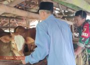 Waspada Penyakit Pada Hewan Ternak, Serda Akhmad Khusairi Imbau Warga Jaga Kebersihan Kandang dan Lingkungan