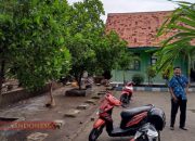 Pohon Nangka dan Cempedak Sebagai Penghijauan di SDN Jungkarang 1