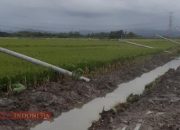 Projek Pembangunan Talud Ruas Jalan Pulorejo-Candisari Disorot 10 Projek Pembangunan Talud Ruas Jalan Pulorejo-Candisari Disorot