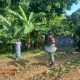 IMG 20250217 170859