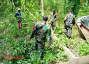 Koramil 0826-05 Larangan Evakuasi Pohon Tumbang di Dusun Petang 7 Koramil 0826-05 Larangan Evakuasi Pohon Tumbang di Dusun Petang