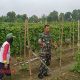 IMG 20250329 182120