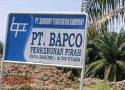 Tak Libur Kerja Hari Jumat, HGU Pirah Perkebunan PT. Bapco Dinilai Abaikan Nilai Syariat Islam