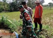 Serma Abd. Bari Bantu Petani Bajak Sawah, Siapkan Lahan untuk Tanam Padi Kedua