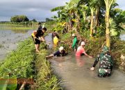 Normalisasi Saluran Irigasi, Babinsa dan Warga Pademawu Barat Gelar Karya Bakti