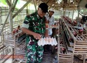 Dukung UMKM, Serka Muhammad Fauzi Lakukan Komsos dengan Peternak Ayam Petelur