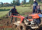 Babinsa Koramil 0826-08 Palengaan, Bantu Petani Bajak Sawah untuk Persiapan Tanam Tembakau