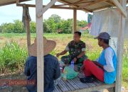 Dukung Kemajuan Pertanian di Desa Sumber Waru, Pelda Johan Arif Komsos dengan Poktan Harapan Jaya Guna