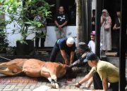 Berbagi Kebahagiaan, Kantor Pertanahan Kota Bogor Bagikan Daging Hewan Kurban