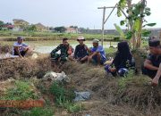 Dekatkan Diri dengan Warga, Babinsa Sentol Serda Agus Sugianto Gelar Komunikasi Sosial di Sawah