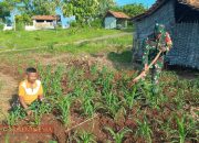 Serda Supriyadi Dukung Ketahanan Pangan, Bantu Petani Bersihkan Rumput Liar di Sawah
