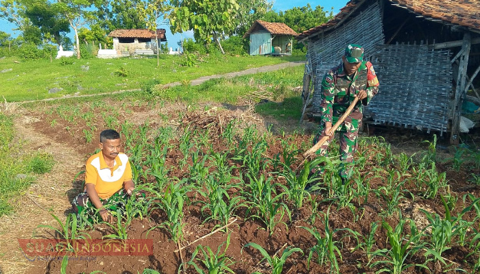 Serda Supriyadi Dukung Ketahanan Pangan, Bantu Petani Bersihkan Rumput Liar di Sawah