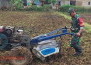 Dukung Pertanian di Desa Palalang, Koptu Abd Kholik Bantu Warga Bajak Sawah