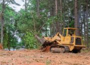 Diduga Kuasai Secara Ilegal, Lahan Transmigrasi di Aceh Timur Dijual kepada Investor Asing