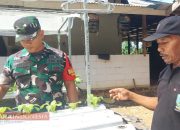 Babinsa Palalang Apresiasi Warga Kembangkan Hidroponik di Lahan Sempit