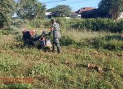 Babinsa Palengaan Laok Dampingi Petani Bajak Sawah di Dusun Glugur 2