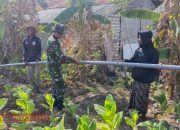 Babinsa Bendungan Bantu Pemasangan Pipa Saluran Air untuk Pengairan Sawah Warga