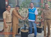 PLN UP3 Madura Salurkan 1.000 Bibit Pohon Produktif Sambut HUT RI ke-80