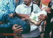 Tersengat Listrik Bertegangan Tinggi, Pelajar MIN 1 Pante Bidari Meninggal Dunia 13 Tersengat Listrik Bertegangan Tinggi, Pelajar MIN 1 Pante Bidari Meninggal Dunia