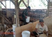 Babinsa Duko Timur Dampingi Warga Kembangkan Usaha Ternak Ayam Petelur