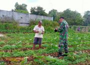 Babinsa Palengaan Dorong Petani Tingkatkan Produktivitas Pertanian