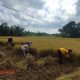 IMG 20250825 081122
