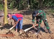 Babinsa Koramil 0826-05 Larangan Dampingi Warga Garap Lahan untuk Ketahanan Pangan