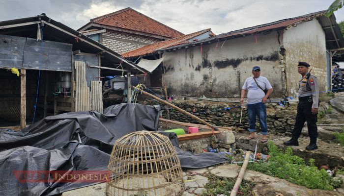 Polres Pamekasan Amankan 12 Orang Terkait Dugaan Judi Sabung Ayam