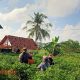 Babinsa Palengaan Laok Dampingi Petani Cabai Melalui Komsos