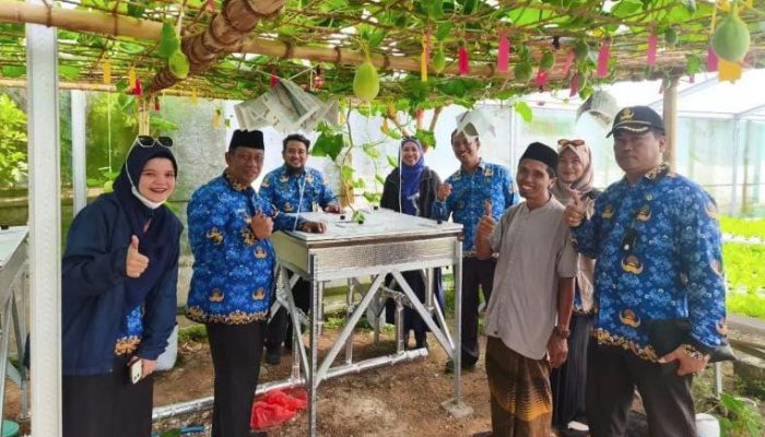 DKPP Sumenep Terapkan Sistem Hidroponik Machida untuk Budidaya Melon