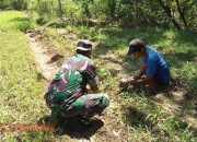 Dukung Semangat Petani, Babinsa Nyalabu Laok Lakukan Komsos dengan Petani Kangkung