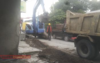 IMG 20251003 142750
