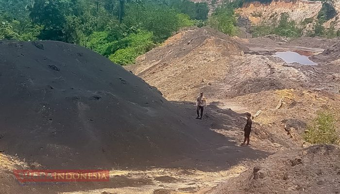 Otorita IKN Komitmen Bakal Menindak Tegas Pelaku Aktivitas Ilegal di Kawasan Nusantara