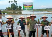 Di Temu Lapang Serentak Tanam, Bupati Safaruddin Paparkan Hasil Lobi ke Pemerintah Pusat 9 IMG 20251101 112415