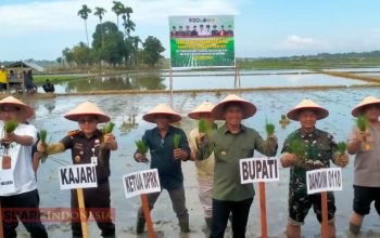 Di Temu Lapang Serentak Tanam, Bupati Safaruddin Paparkan Hasil Lobi ke Pemerintah Pusat 3 IMG 20251101 112415