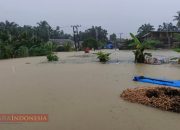 Longsor Gunung Peunaron Putuskan Akses Jalan Peureulak–Lokop, Banjir Mencapai 3 Meter