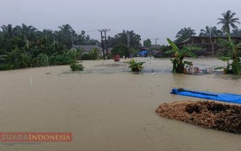 Longsor Gunung Peunaron Putuskan Akses Jalan Peureulak–Lokop, Banjir Mencapai 3 Meter 5 IMG 20251126 205547