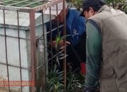 Disperumkin Kota Bogor Tanggapi Cepat Aduan Warga Terkait PJU di Taman Balai Kota 9 IMG 20260129 220020