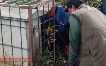 Disperumkin Kota Bogor Tanggapi Cepat Aduan Warga Terkait PJU di Taman Balai Kota 3 IMG 20260129 220020
