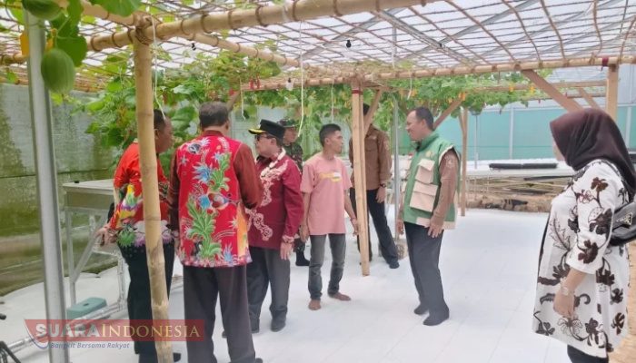 Pemkab Sumenep Kembangkan Subsektor Perkebunan untuk Tingkatkan Produktivitas Pertanian