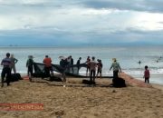 Cuaca Ekstrem, Nelayan Abdya Pilih Gunakan Pukat Darat