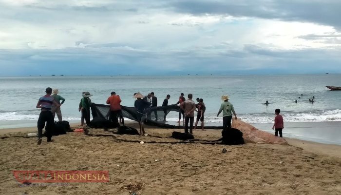 Cuaca Ekstrem, Nelayan Abdya Pilih Gunakan Pukat Darat