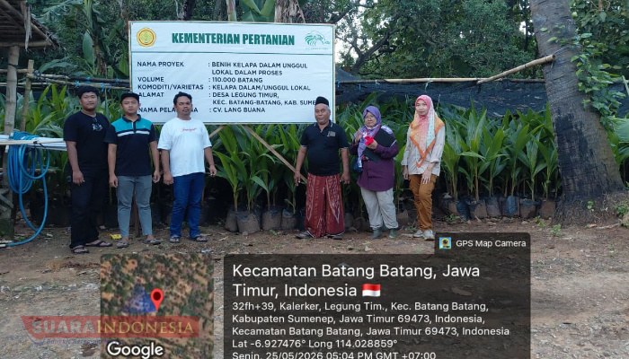 Dukung Hilirisasi, Sumenep Siapkan Ribuan Bibit Kelapa Bersertifikat