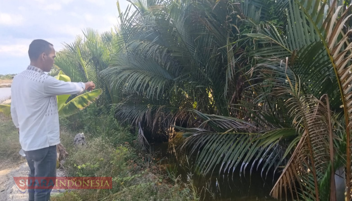 Ribuan Hektare Tambak di Aceh Timur Terdampak Sedimentasi Pasca Banjir, Petani Harapkan Penanganan Pemerintah